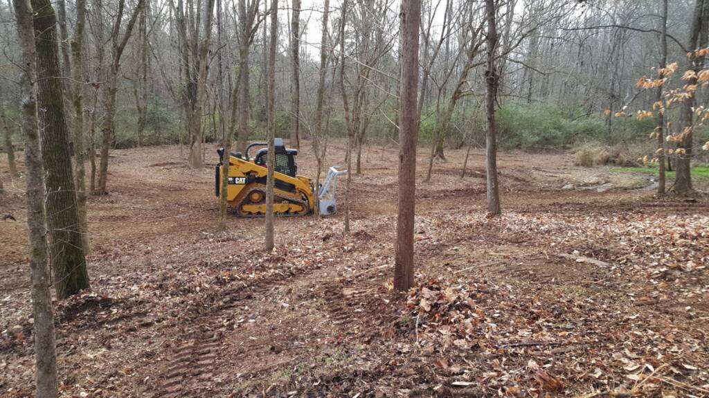 bobcat clearing woods