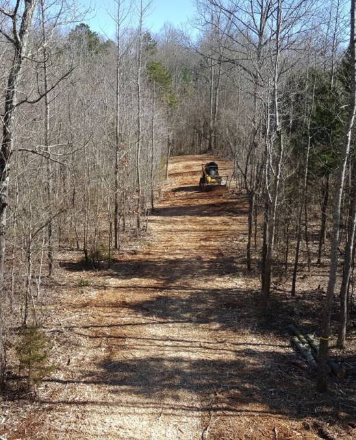 bobcat-clearing-road clearing a road to new home